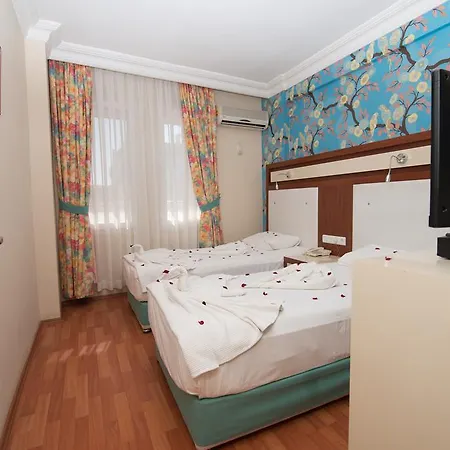 Casa de hóspedes Anik