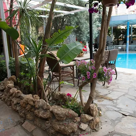Anik Alanya
