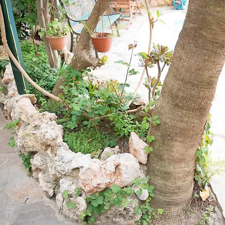 Casa de hóspedes Anik Alanya