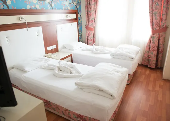 Guest house Anik 3*