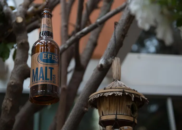 Πανσιόν Anik Αλάνια