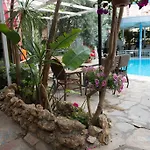Anik Alanya