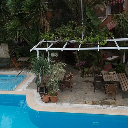 Anik Alanya