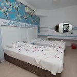 Anik 3* ألانيا